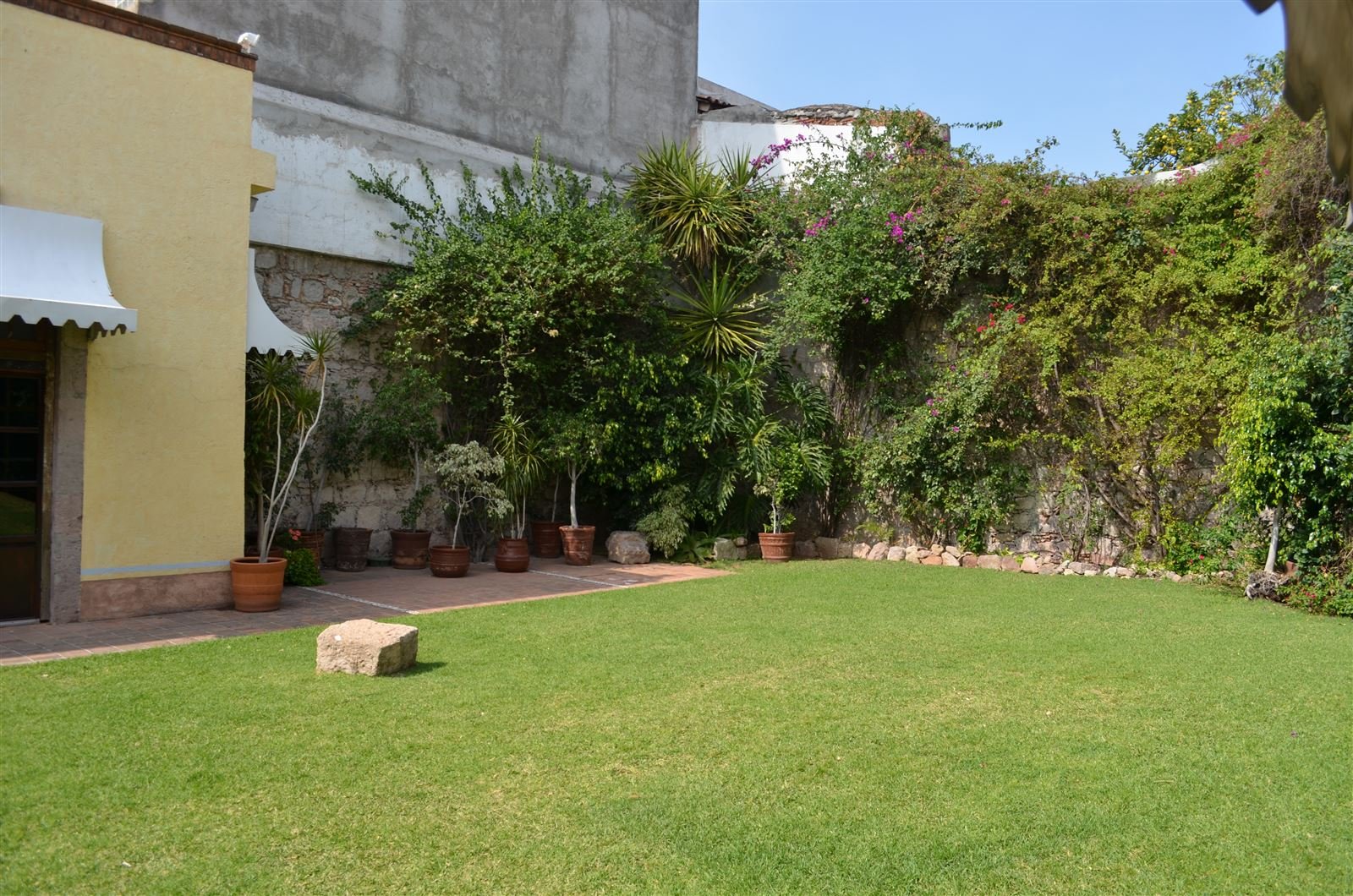Jardín del hotel