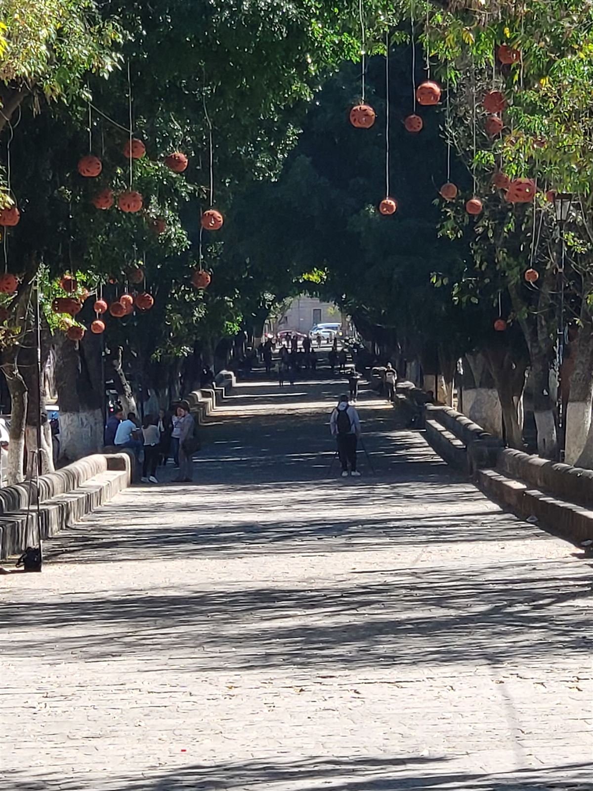 Calzada Fray Antonio de San Miguel